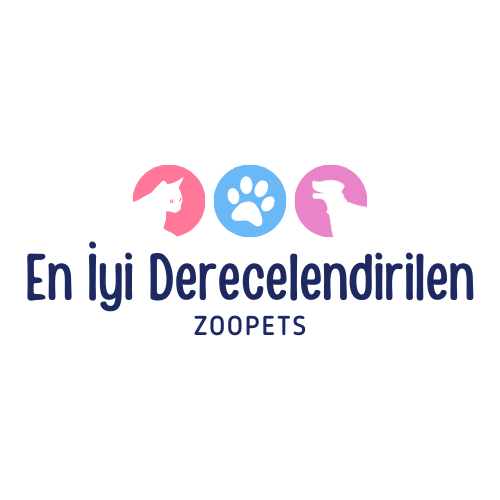 collection-img